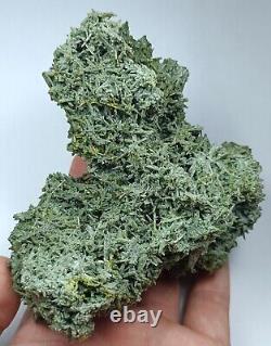 Chlorite quartz cluster from Balochestan Pakistan276gCollection Piece