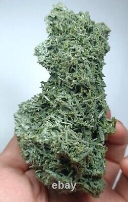 Chlorite quartz cluster from Balochestan Pakistan276gCollection Piece