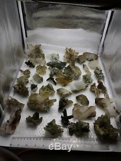 Chlorite quartz crystals and clusters 45 pieces lot
