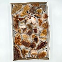 Citrine Druzy Cluster 36 Piece Bulk Wholesale Box Flat 6 lbs. Crystal Stone