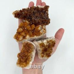 Citrine Druzy Cluster 36 Piece Bulk Wholesale Box Flat 6 lbs. Crystal Stone