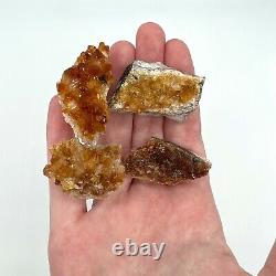 Citrine Druzy Cluster 36 Piece Bulk Wholesale Box Flat 6 lbs. Crystal Stone