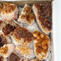 Citrine Druzy Cluster 36 Piece Bulk Wholesale Box Flat 6 lbs. Crystal Stone