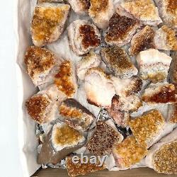 Citrine Druzy Cluster 36 Piece Bulk Wholesale Box Flat 6 lbs. Crystal Stone