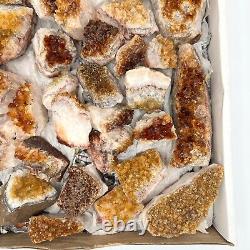 Citrine Druzy Cluster 36 Piece Bulk Wholesale Box Flat 6 lbs. Crystal Stone