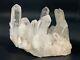 Clear Large Crystal Cluster 796 Grams Great Display Piece For Home Or Office
