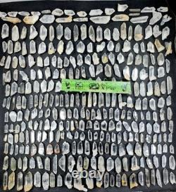 Clear Quartz Crystals (320? Pieces Lot) from Skardu Pakistan