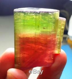 Collector piece natural Afghanistan gem grade watermelon tourmaline crystal