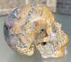 Crazy Lace Agate Skull Hand Carved Crystal Skull Polished Display Piece 4
