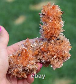 Creedite Crystals Superb Gemmy Orange Color From Mexico 512 Grams Large Piece