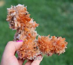 Creedite Crystals Superb Gemmy Orange Color From Mexico 512 Grams Large Piece