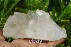 Crystal Himalayan White Samadhi Quartz 525gm Healing Meditation Rough Mineral