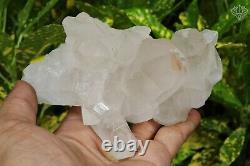 Crystal Himalayan White Samadhi Quartz 525gm Healing Meditation Rough Mineral