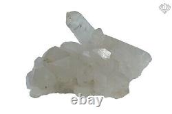 Crystal Himalayan White Samadhi Quartz 525gm Healing Meditation Rough Mineral