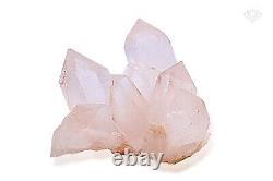 Crystal Pink Quartz Pink Himalayan Quartz 637gm Points Clear Healing Specimens