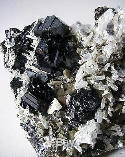 Cubic Fine Pyrite, Black Sphalerite & Quartz Perú Master Piece Animon Mine