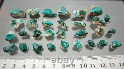 Decent Dioptase natural lot of 30 tiny pieces, Altyn Tube, Kazakhstan