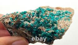 Dioptase crystals in matrix 7 cm piece Tsumeb, Namibia