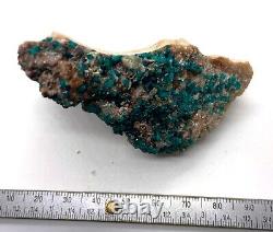 Dioptase crystals in matrix 7 cm piece Tsumeb, Namibia