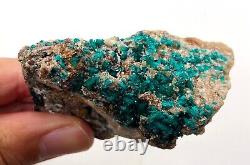 Dioptase crystals in matrix 7 cm piece Tsumeb, Namibia