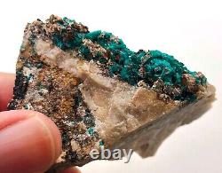 Dioptase crystals in matrix 7 cm piece Tsumeb, Namibia