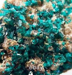 Dioptase crystals in matrix 7 cm piece Tsumeb, Namibia