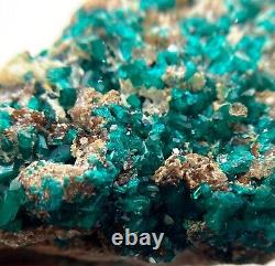 Dioptase crystals in matrix 7 cm piece Tsumeb, Namibia