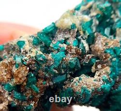 Dioptase crystals in matrix 7 cm piece Tsumeb, Namibia