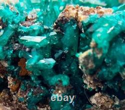 Dioptase crystals in matrix 7 cm piece Tsumeb, Namibia