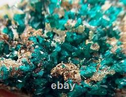 Dioptase crystals in matrix 7 cm piece Tsumeb, Namibia