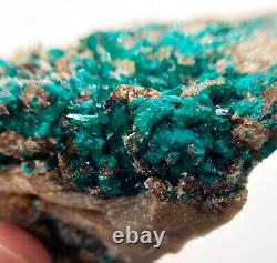 Dioptase crystals in matrix 7 cm piece Tsumeb, Namibia