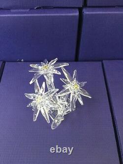 Edelweiss Flower Scs Member Piece 2020 Swarovski Crystal 5493708