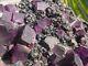 Fluorite Galena Sphalerite Crystal Mineral Tennessee Giant Purple Crystals Huge