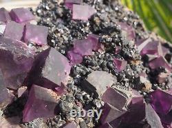 FLUORITE GALENA SPHALERITE Crystal Mineral Tennessee GIANT PURPLE CRYSTALS HUGE