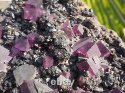 FLUORITE GALENA SPHALERITE Crystal Mineral Tennessee GIANT PURPLE CRYSTALS HUGE