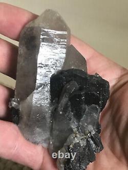 Ferberite xtls on Quartz, Kara Oba, Kazakhstan, historic piece, ex Wim Klein