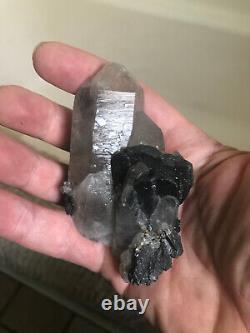 Ferberite xtls on Quartz, Kara Oba, Kazakhstan, historic piece, ex Wim Klein