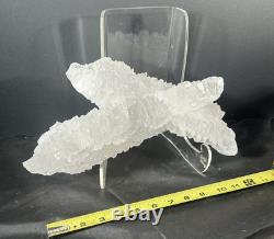 Fishtail Selenite Crystal Display Specimen Mexico Large Statement Piece