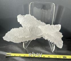 Fishtail Selenite Crystal Display Specimen Mexico Large Statement Piece