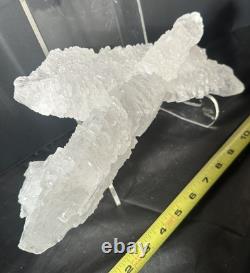 Fishtail Selenite Crystal Display Specimen Mexico Large Statement Piece