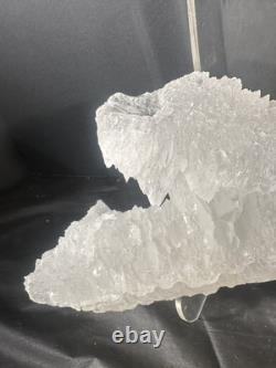 Fishtail Selenite Crystal Display Specimen Mexico Large Statement Piece
