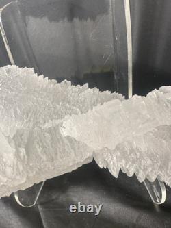 Fishtail Selenite Crystal Display Specimen Mexico Large Statement Piece
