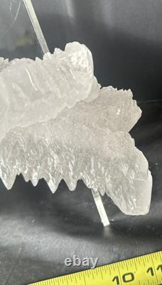 Fishtail Selenite Crystal Display Specimen Mexico Large Statement Piece
