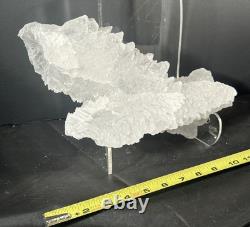 Fishtail Selenite Crystal Display Specimen Mexico Large Statement Piece