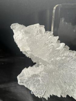 Fishtail Selenite Crystal Display Specimen Mexico Large Statement Piece