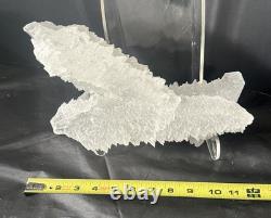 Fishtail Selenite Crystal Display Specimen Mexico Large Statement Piece