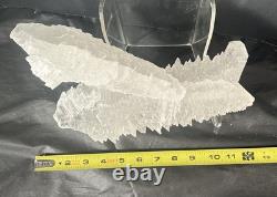 Fishtail Selenite Crystal Display Specimen Mexico Large Statement Piece