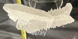 Fishtail Selenite Crystal Display Specimen Mexico Large Statement Piece