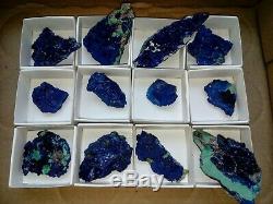 Flat of Azurites with malachite 12 pieces
