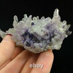 Fluorite on Quartz Specimen 170201 Chihuahua Mexico Display Piece Metaphysical